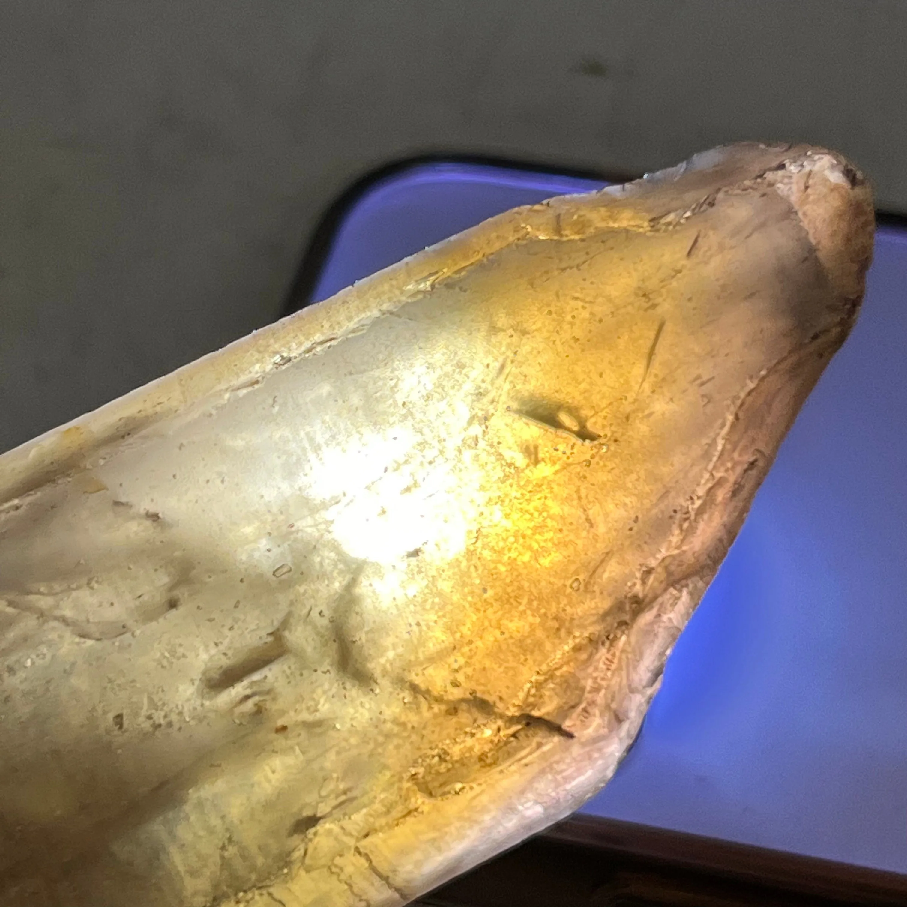 13 Natural Zambian Citrine Wands, Wholesale Flat