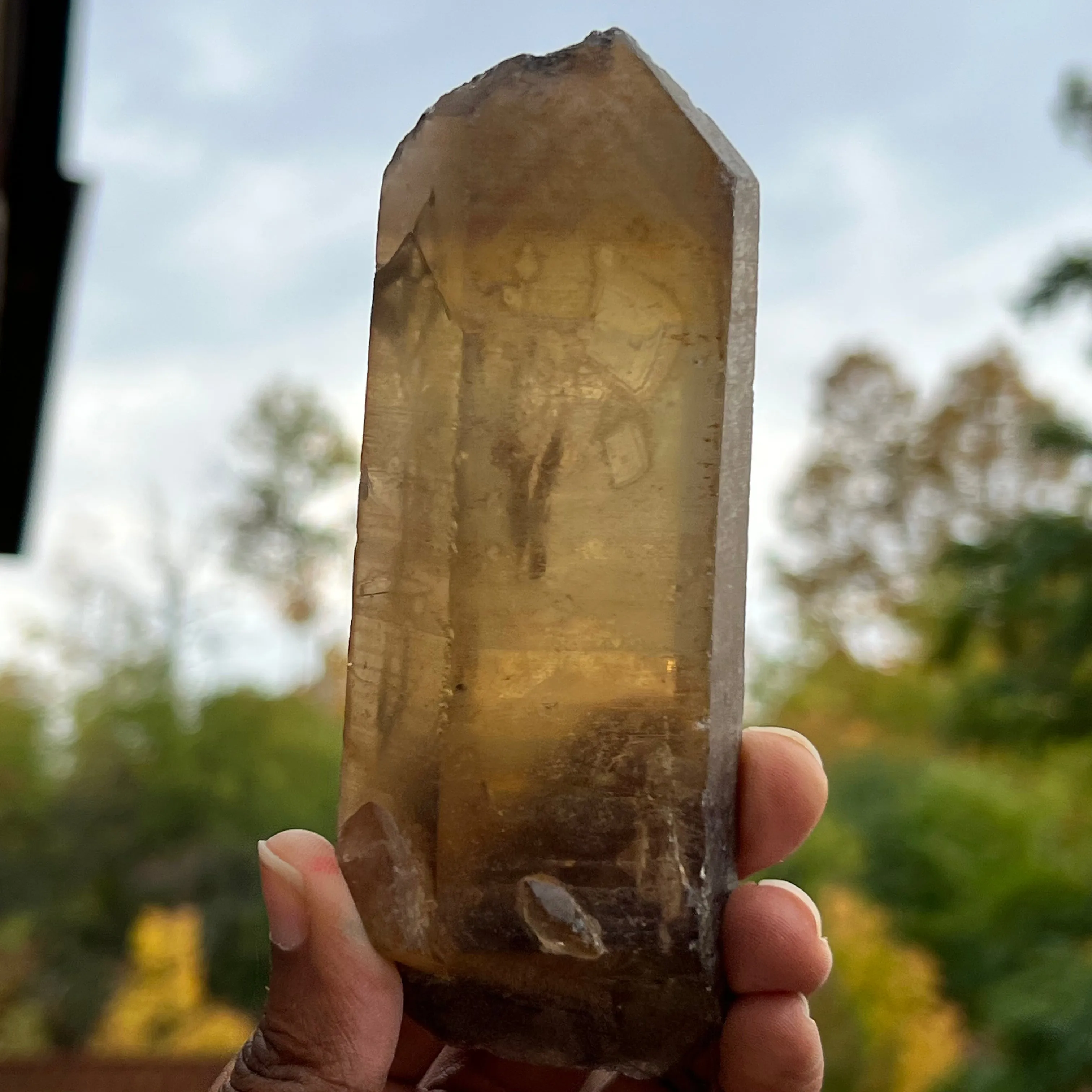 13 Natural Zambian Citrine Wands, Wholesale Flat
