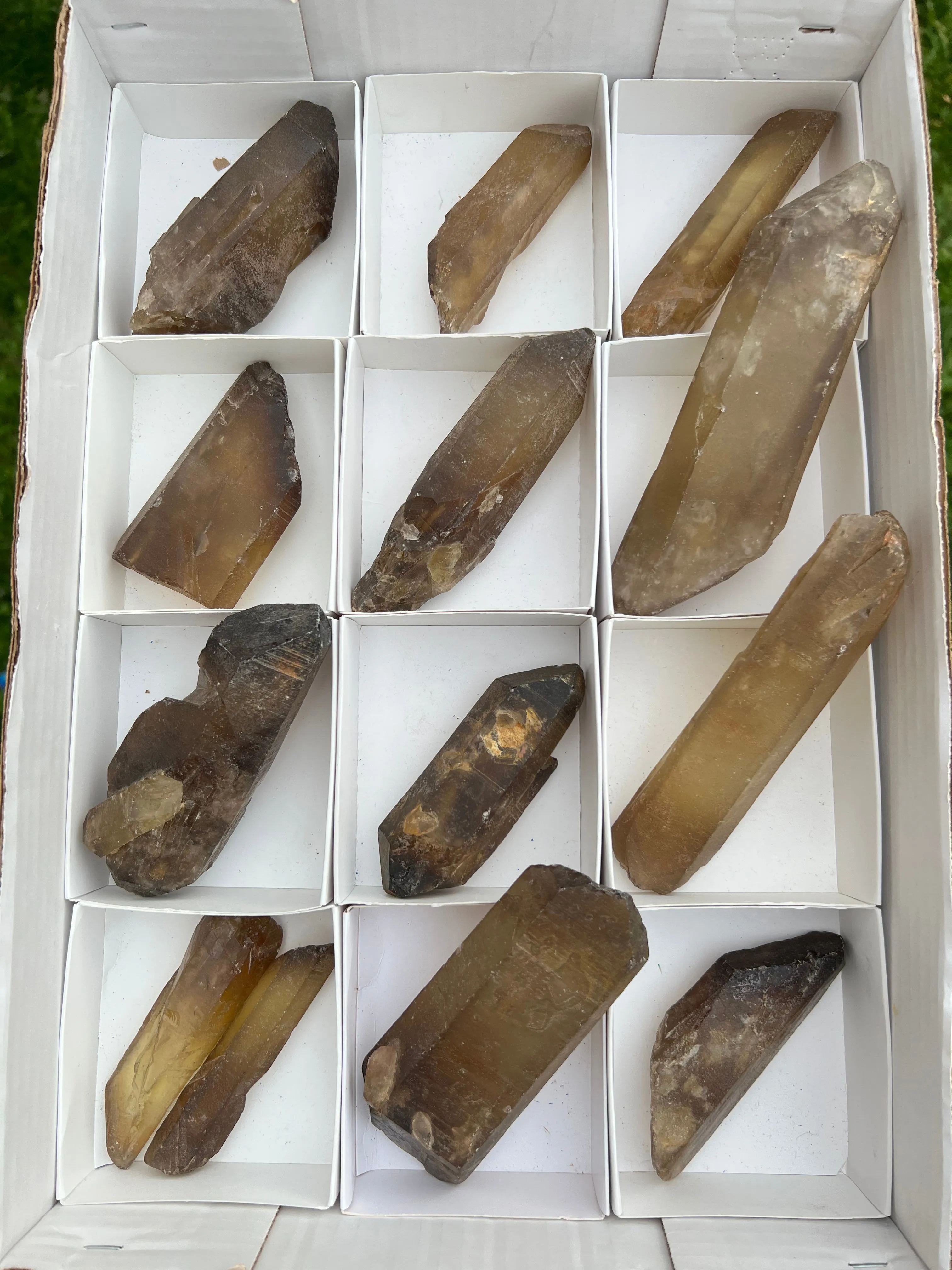 13 Natural Zambian Citrine Wands, Wholesale Flat