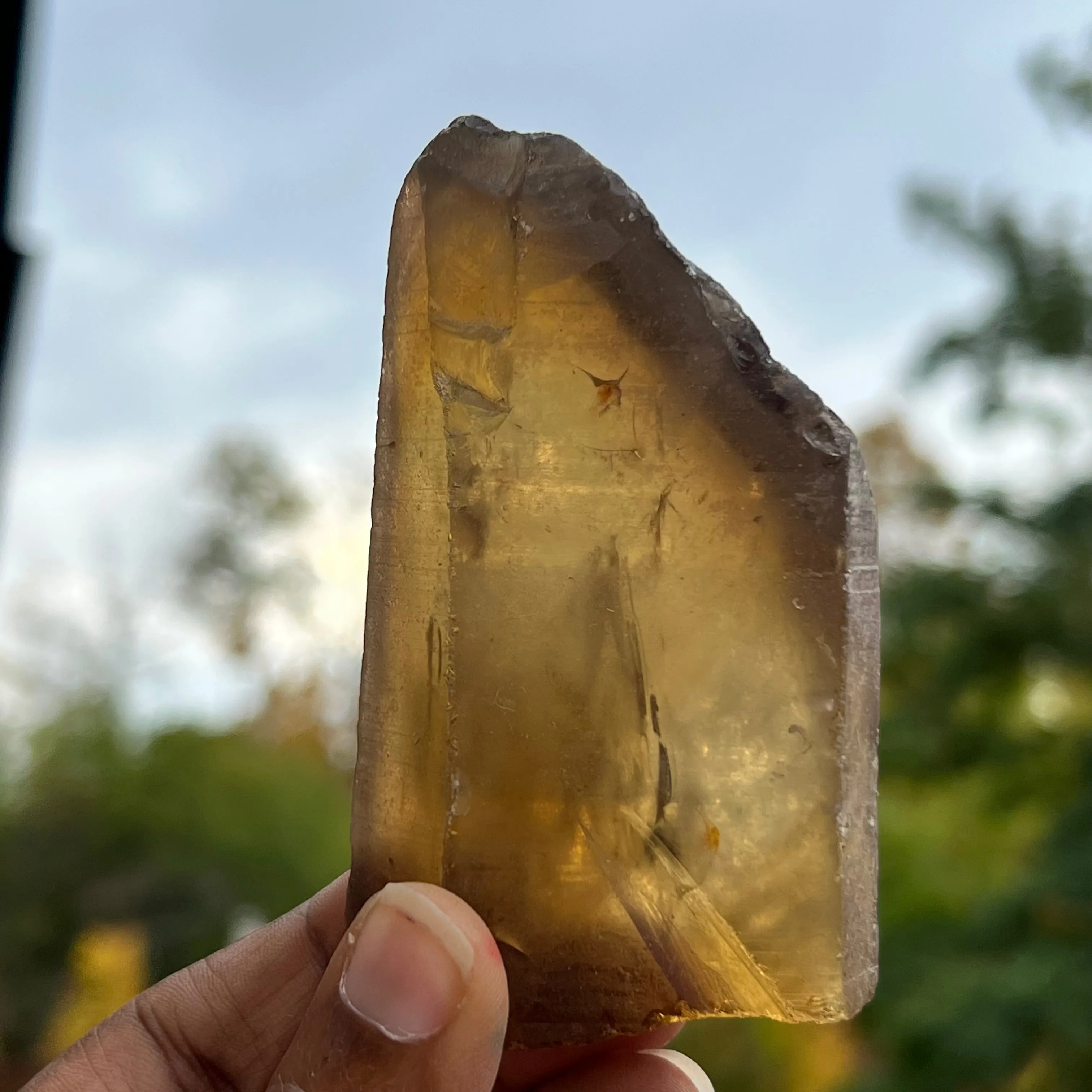 13 Natural Zambian Citrine Wands, Wholesale Flat