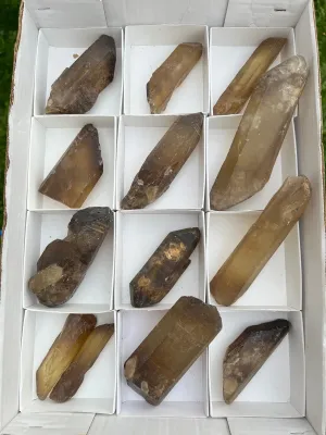13 Natural Zambian Citrine Wands, Wholesale Flat