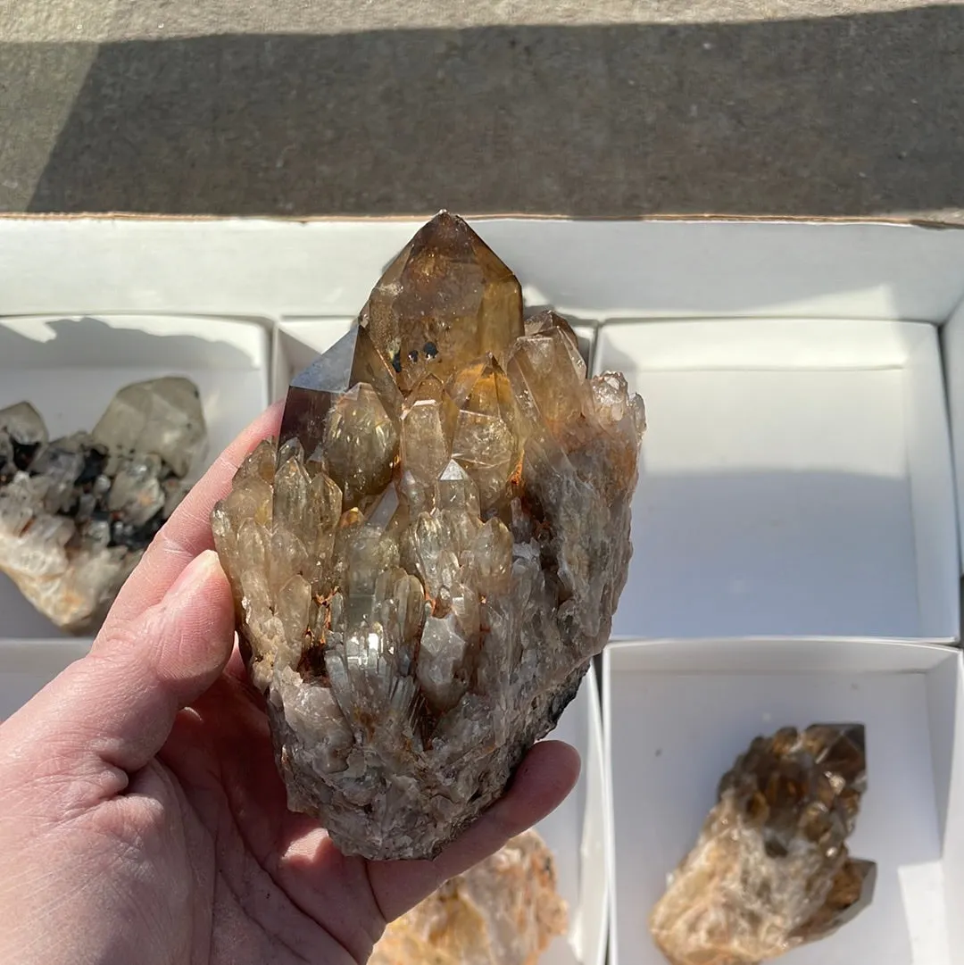 3.45kg Lot of 6 Kundalini Quartz Citrine, Democratic Republic of Congo, Lwena, Congo Citrine