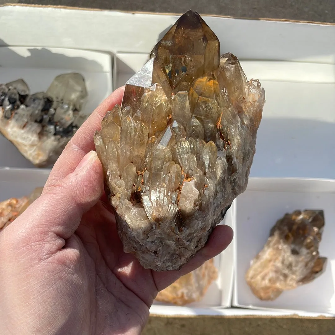 3.45kg Lot of 6 Kundalini Quartz Citrine, Democratic Republic of Congo, Lwena, Congo Citrine