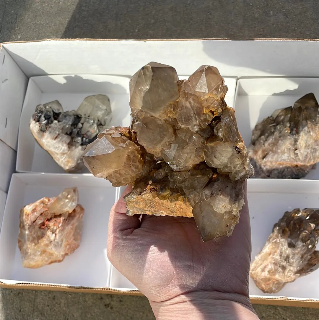 3.45kg Lot of 6 Kundalini Quartz Citrine, Democratic Republic of Congo, Lwena, Congo Citrine