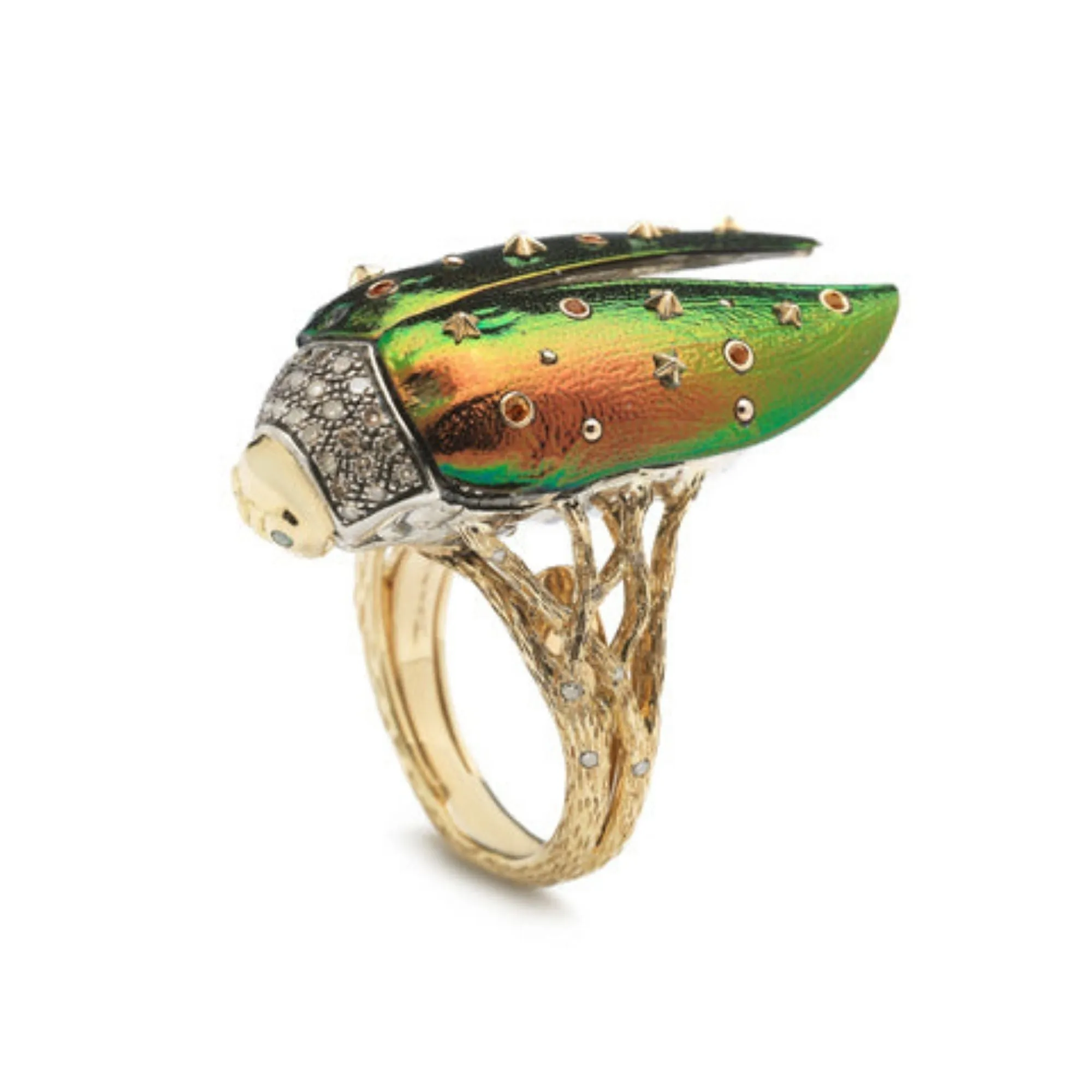Scarab Fly Ring With Gold Edge